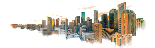 Houston Texas Web Developer