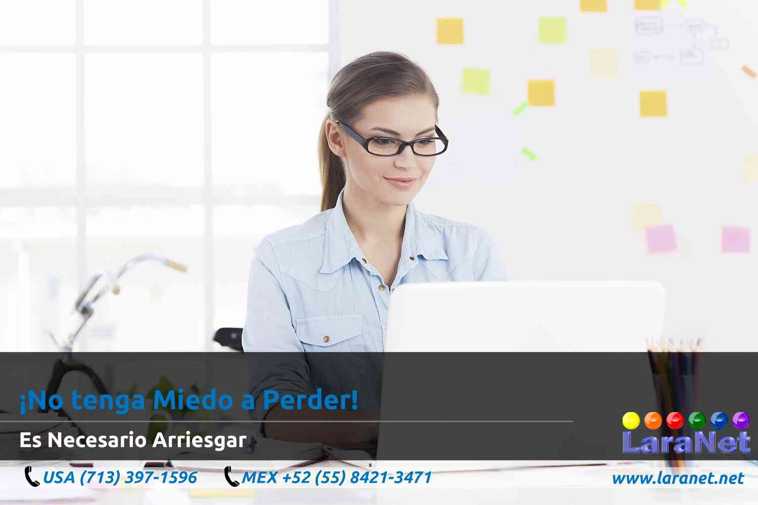 29 Disenador de Paginas Web para Pequenos Negocios