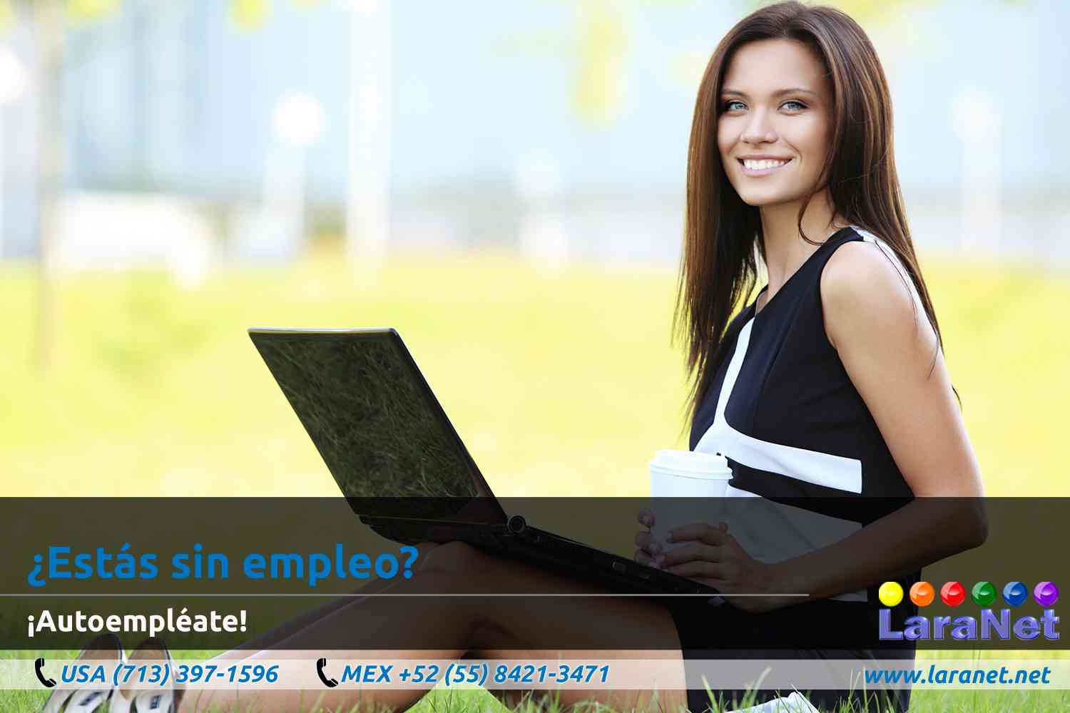 31 Disenador de Paginas Web Interactivas en Houston