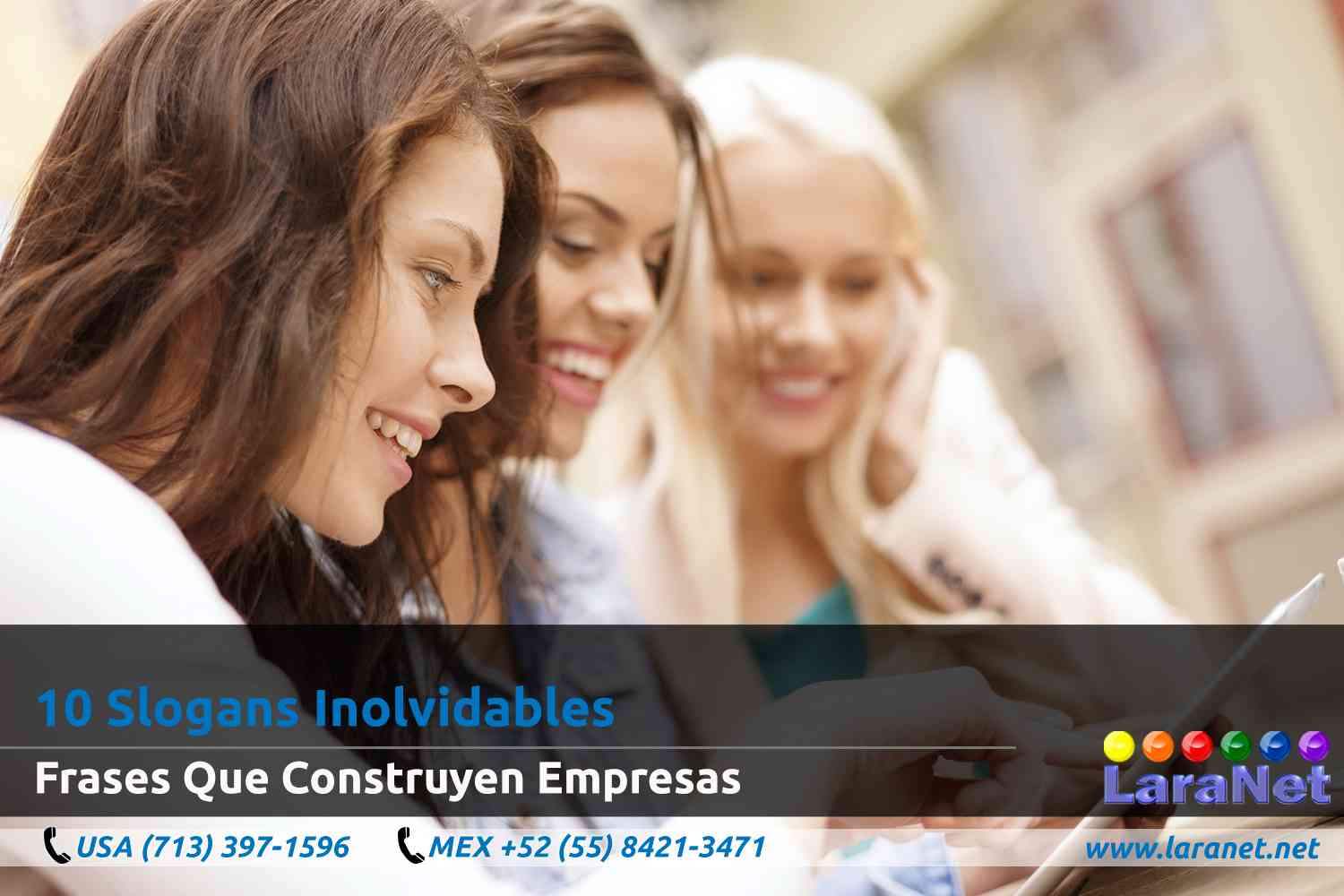 11 Desarrollador de Paginas Web Interactivas en Houston