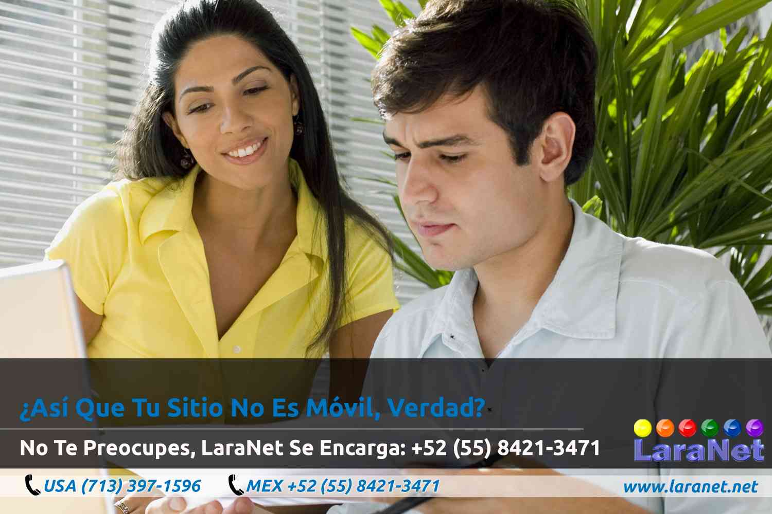 30 Desarrollo de Paginas Web en Houston