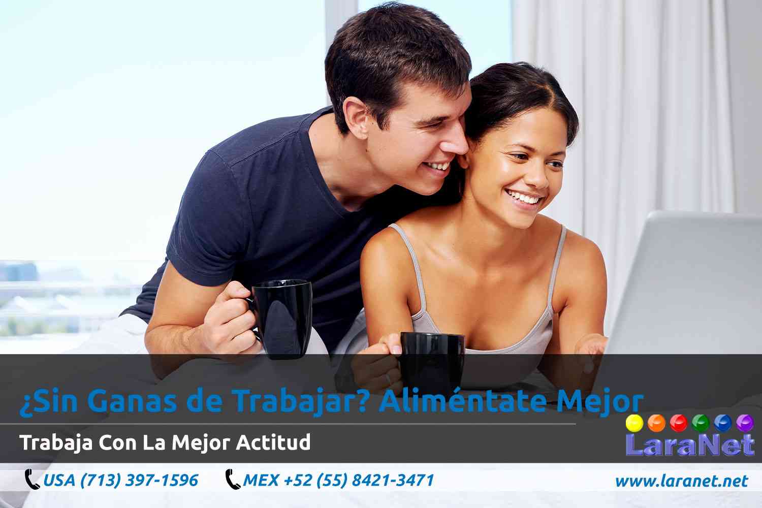 07 Desarrollador de Paginas Web Interactivas en Houston