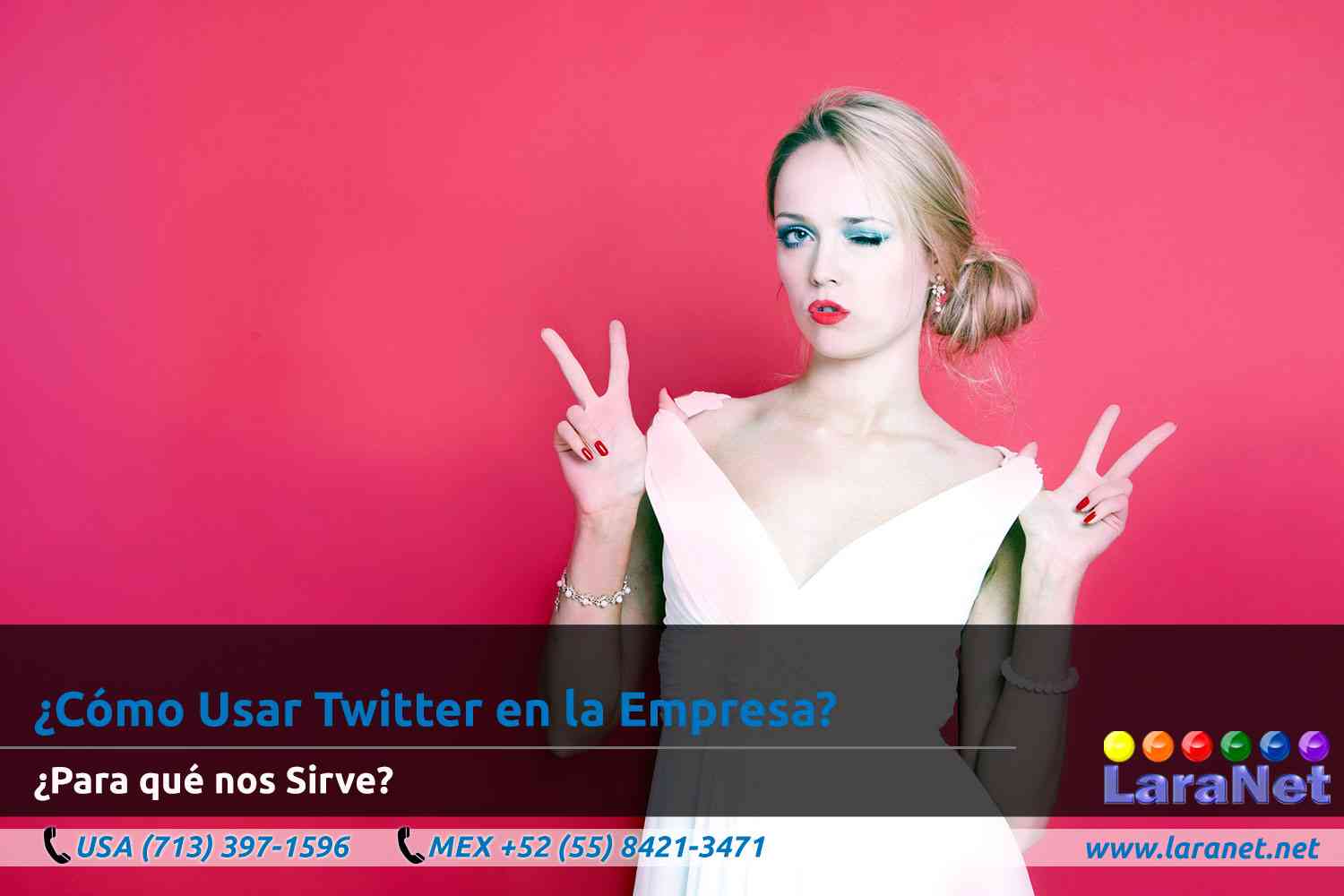 19 Disenador de Paginas Web Interactivas en Houston